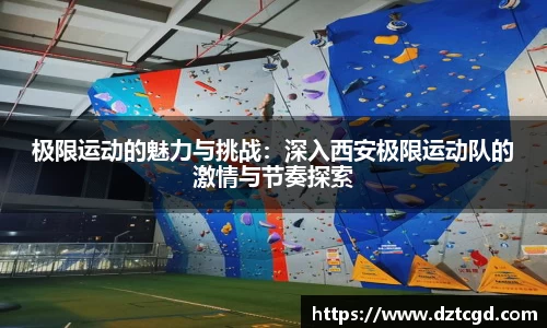 摩根体育娱乐
