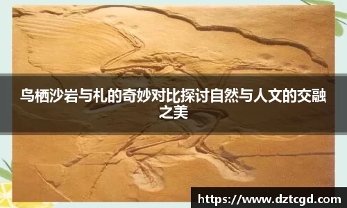 鸟栖沙岩与札的奇妙对比探讨自然与人文的交融之美